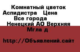 Комнатный цветок Аспидистра › Цена ­ 150 - Все города  »    . Ненецкий АО,Верхняя Мгла д.